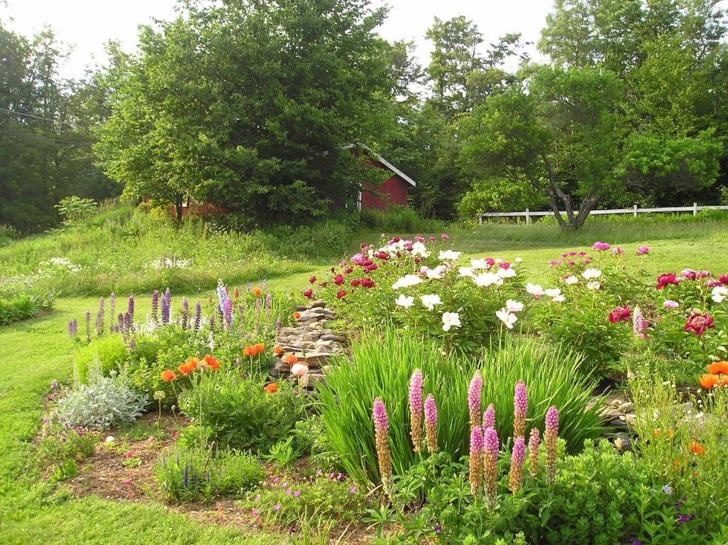 Cooper Hill Inn East Dover Kültér fotó